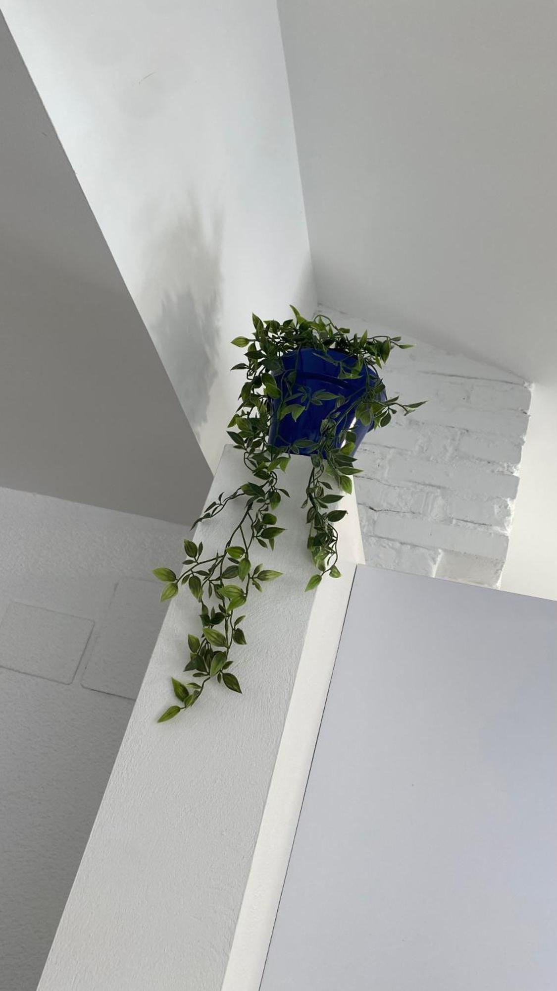 Plaza Andalucia Apartment -A 10Min Caminando Del Puente Romano コルドバ エクステリア 写真